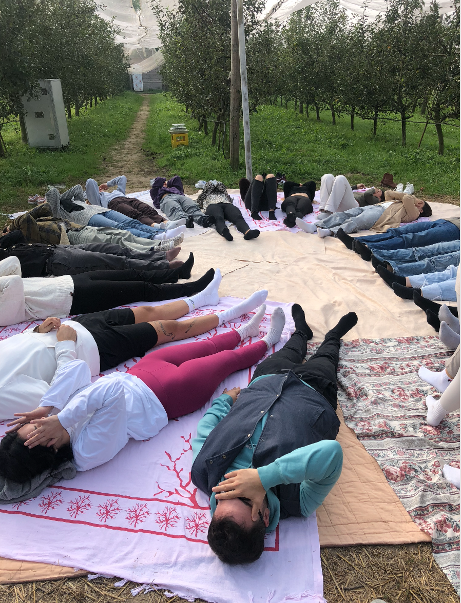 Schermata 2026-01-14 alle 15.15.56.png