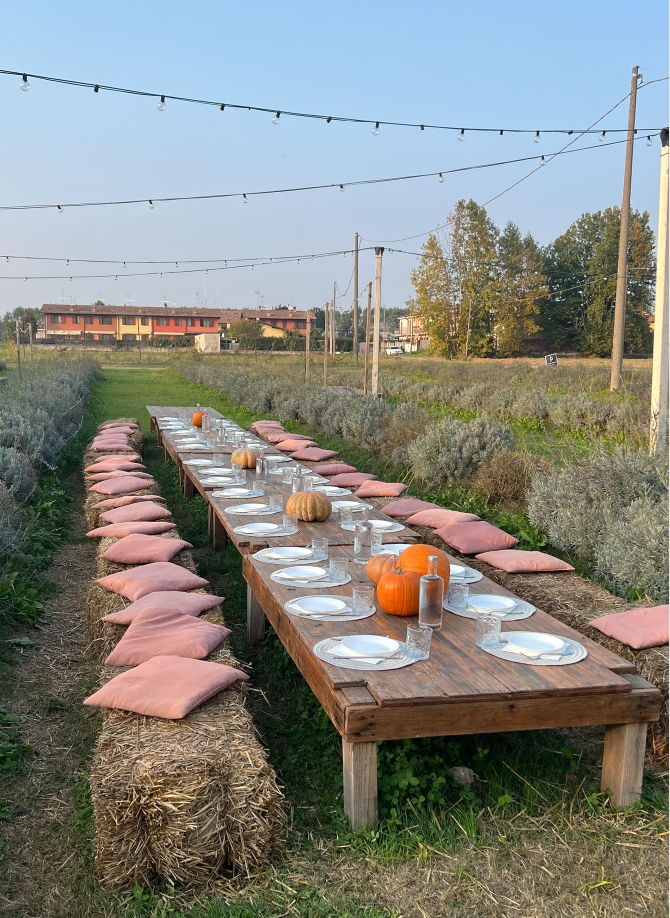 Schermata 2026-01-14 alle 15.14.12.png