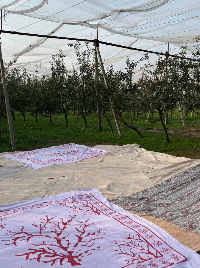 Schermata 2026-01-14 alle 15.13.13.png