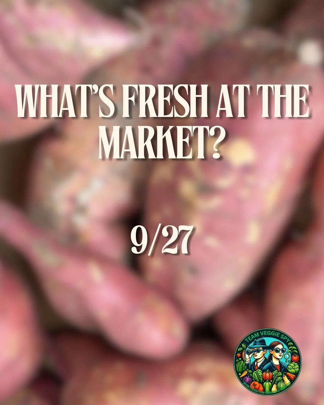 The farmers market is back this weekend, so stop squashin’ around and make sure to pick up some fresh fall produce!