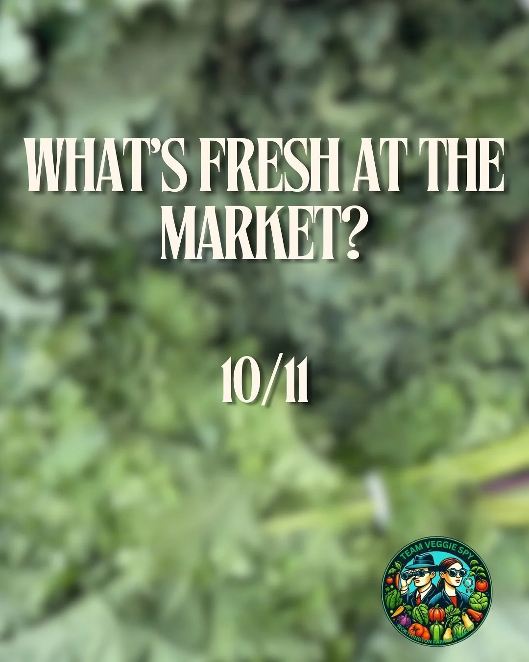 Oh kale yeah, it finally feels like FALL! We have so many delicious veggies to help you shift into soup mode, so make sure to get to the market early and secure all of your favorite seasonal produce!