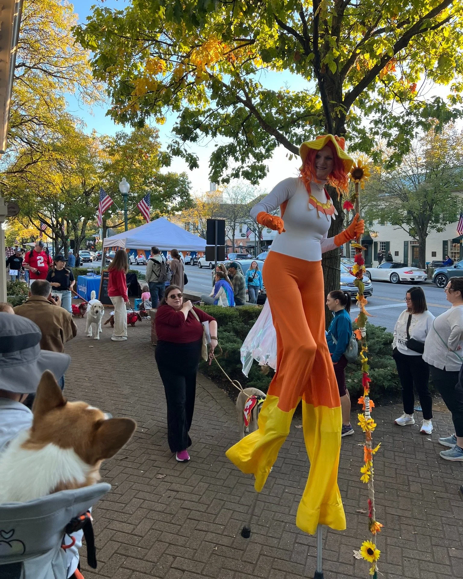 What a fantastic turn out at our final Third Thursday Night Market of the year, featuring our Spooky Pooch Party and Parade! It was a beautiful evening to watch a parade of costumed pooches and their humans show off their stuff around the neighborhoo