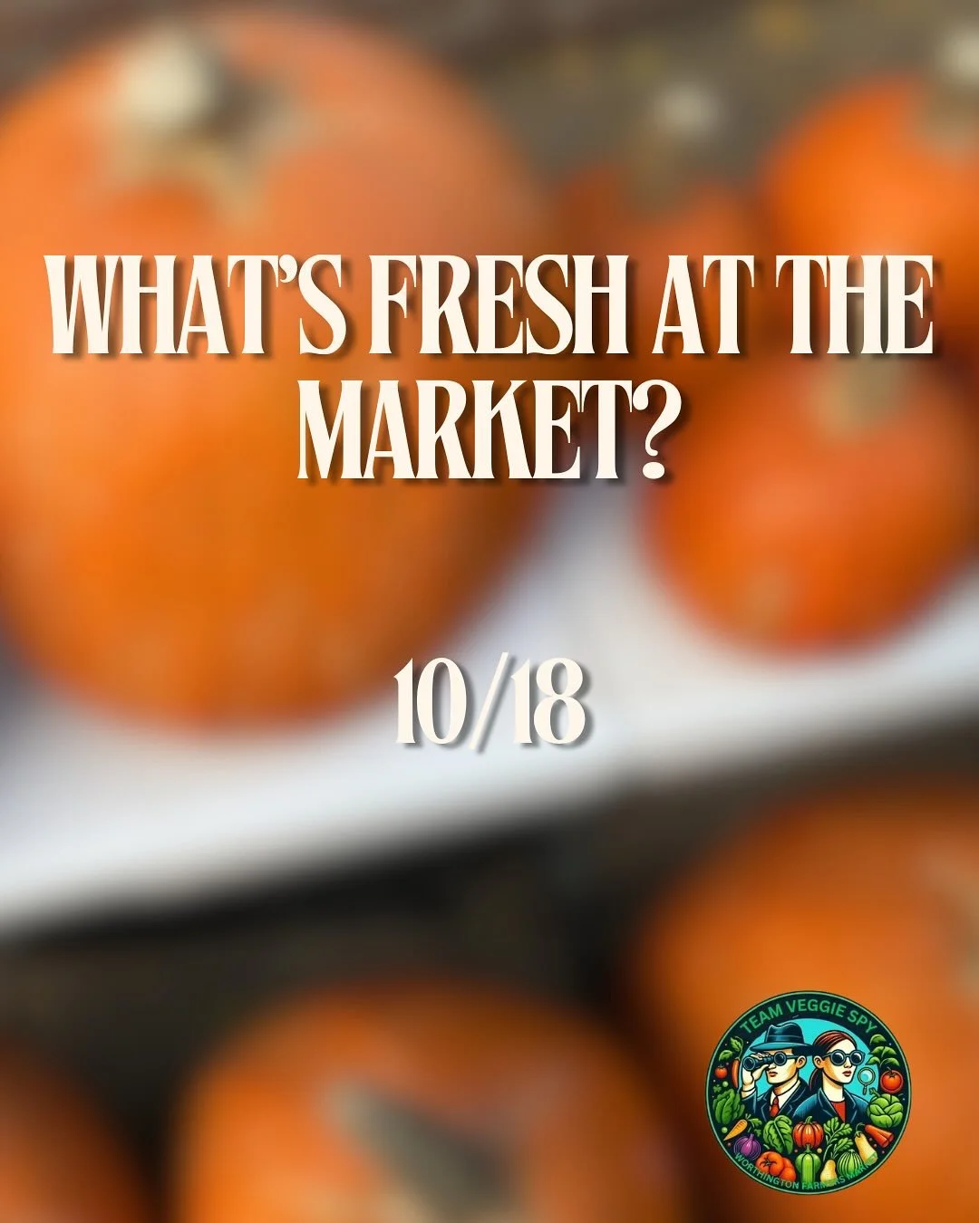 Oh my gourd, can you believe we only have two more markets left before we head indoors to The Shops at Worthington Place?! We currently have beautiful pumpkins, gourds and squash available throughout the market, along with plenty of other autumnal pr