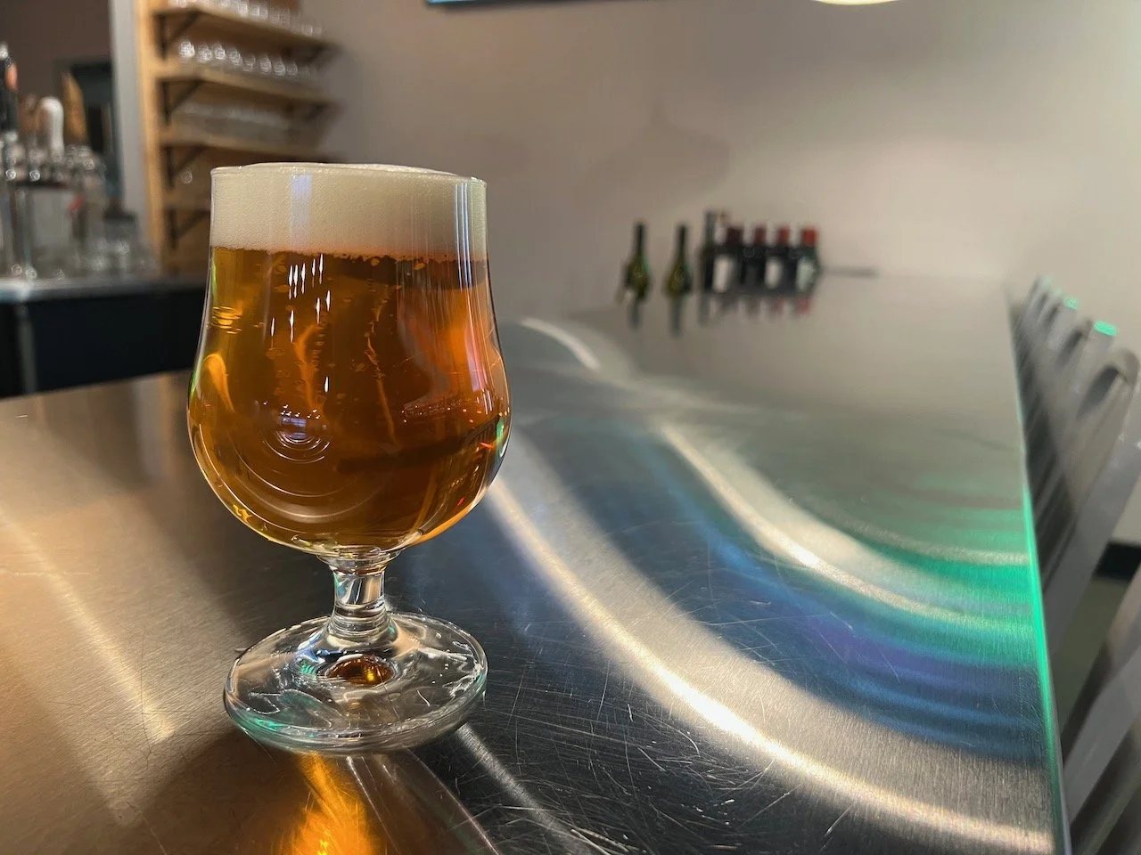 aardvark pachucos 3.jpeg