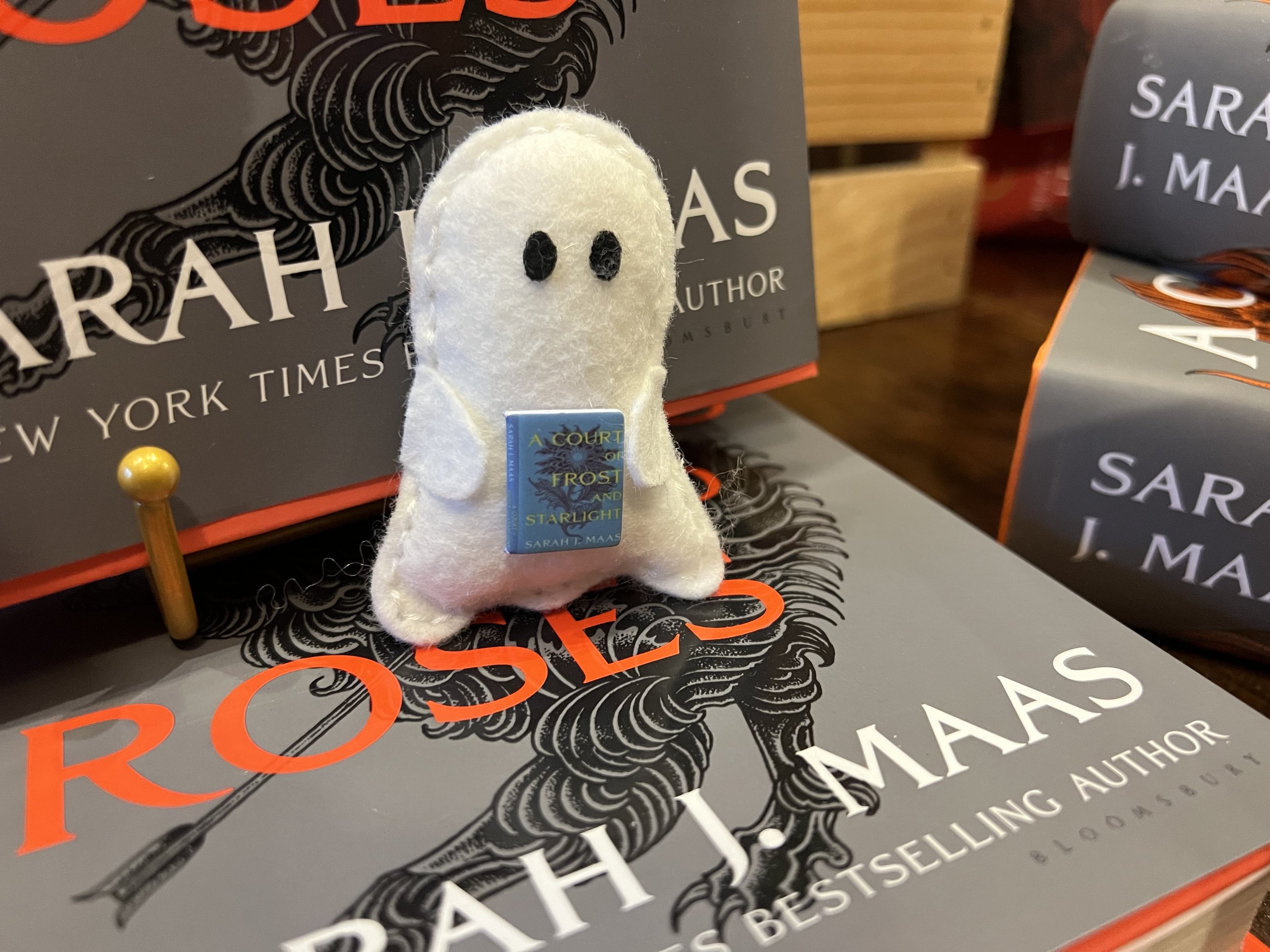 celestielle bookstore 8.jpeg