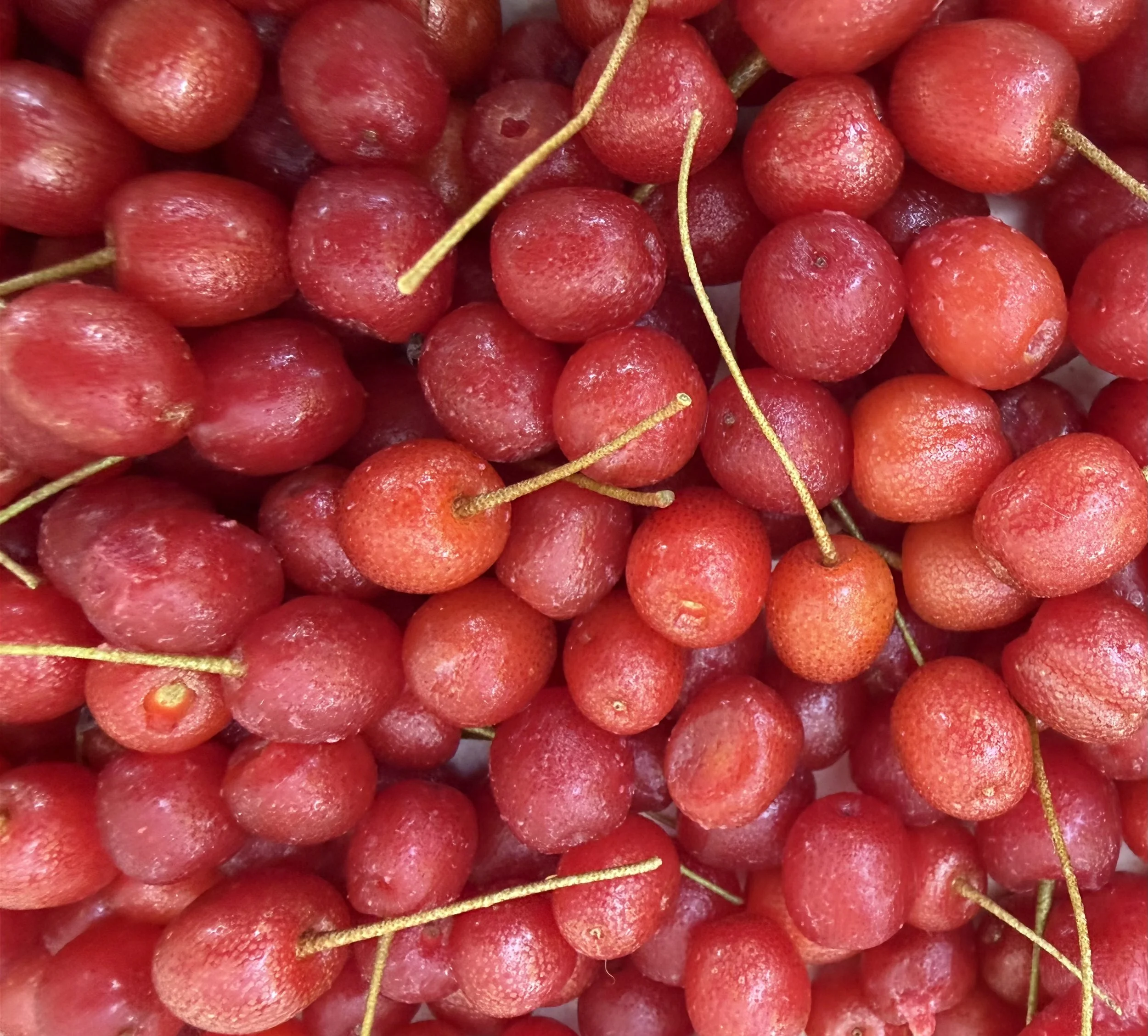 Goumi berries.jpeg