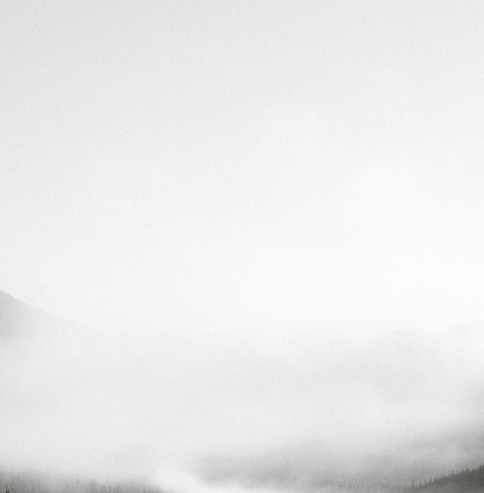 unsplash-image-LSvnvfHPtzQ.jpg