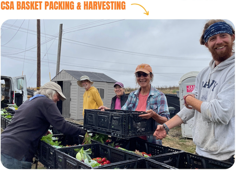 Esperanza Community Farms: Help Pack CSA Baskets