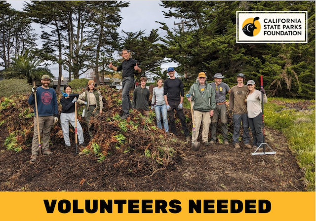 Lighthouse Field State Park: Volunteer Day, Nov 1, 9 am – 1 pm