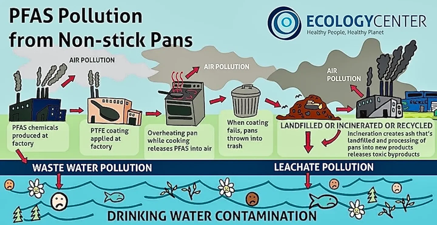 Environmental Working Group: Protect Californians From Toxic PFAS