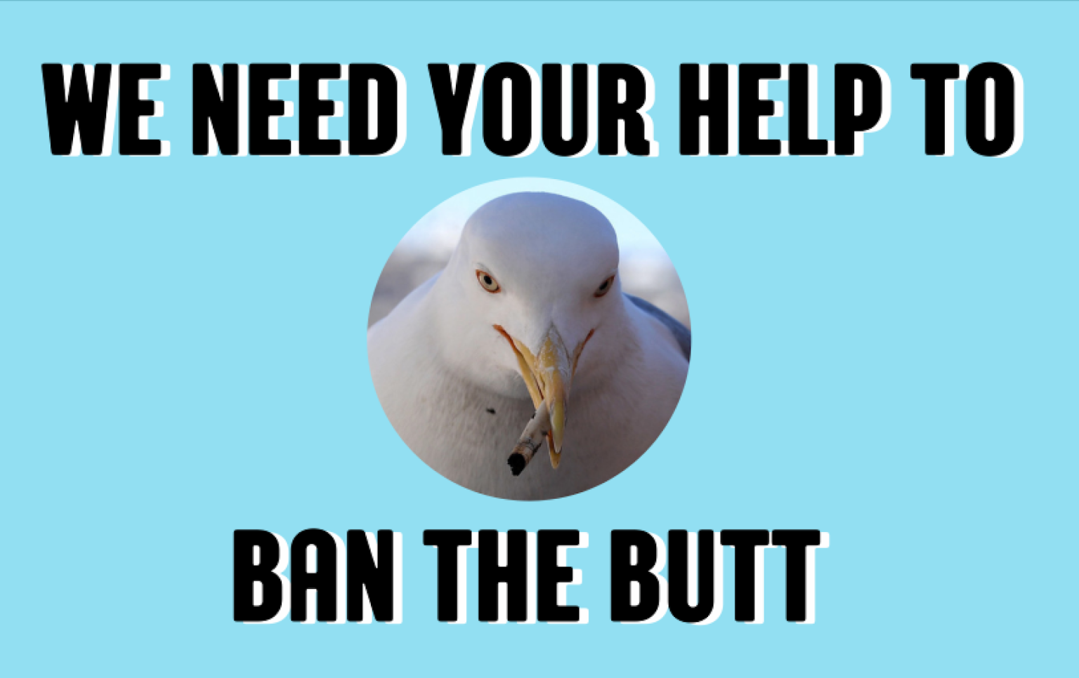 Save Our Shores: Help Activate The Ban The Butt Ordinance 