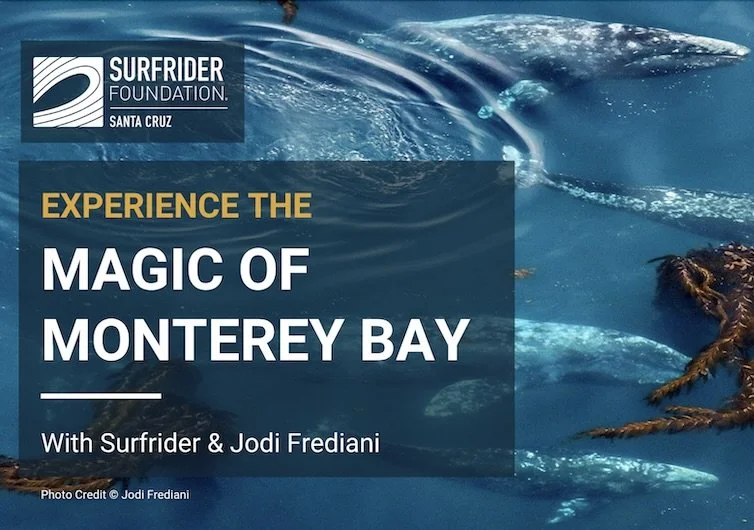 Surfrider Santa Cruz Chapter: The Magic of Monterey Bay w/ Jodi Frediani. Nov 19, 6:30 - 8:00 pm