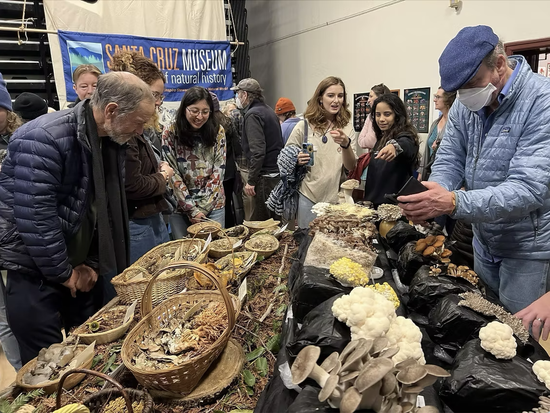 Fungus Federation Of Santa Cruz: Fungus Fair 2026, Jan 9, 2 - 5 pm and Jan 10 & 11, 9 am - 5 pm