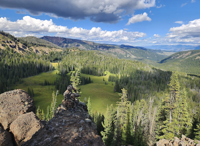 Environment California: Permanently Protect Millions of Acres of Wild Forest