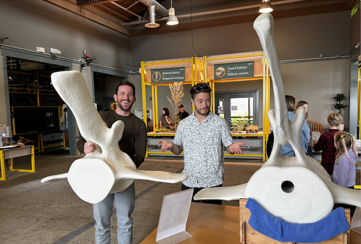 Lookout: Seymour Marine Discovery Center prepares for biggest exhibition update since its opening 25 years ago - See More HQ