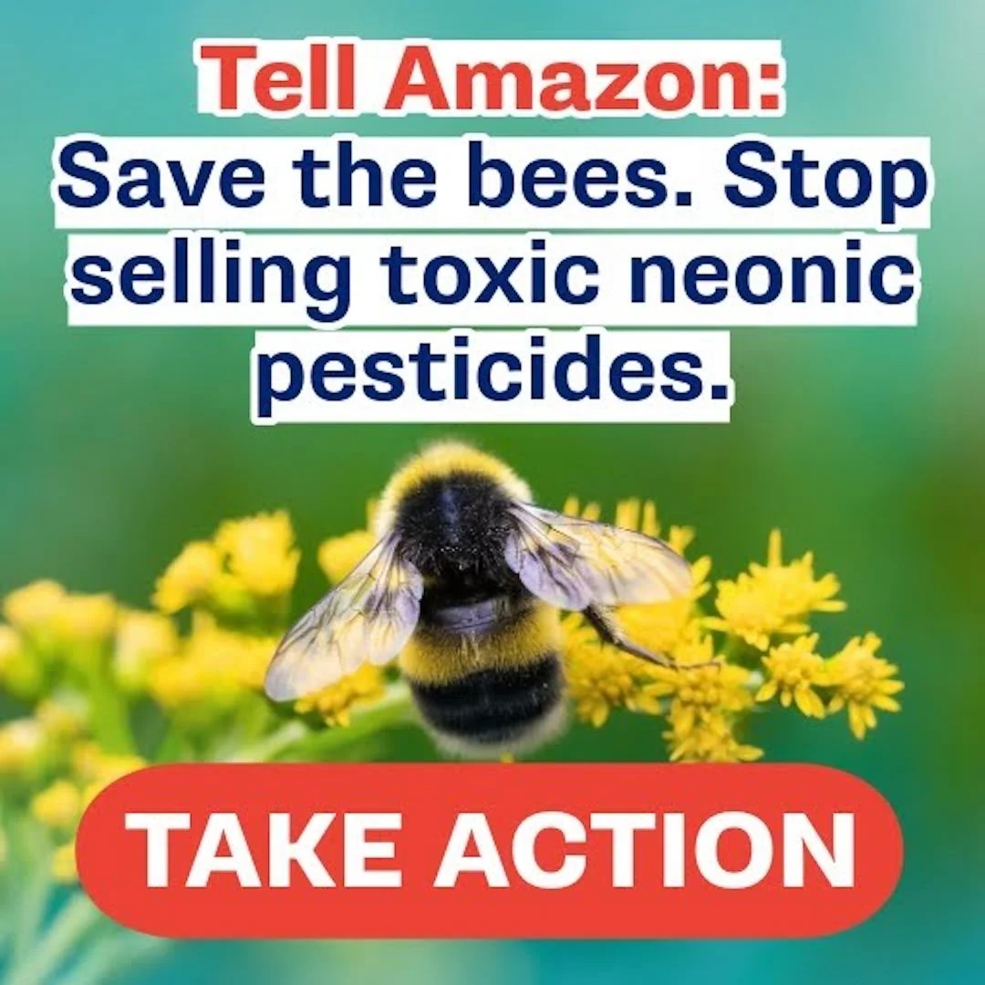 CALPIRG: Tell Amazon - Stop Selling Bee-killing Pesticides