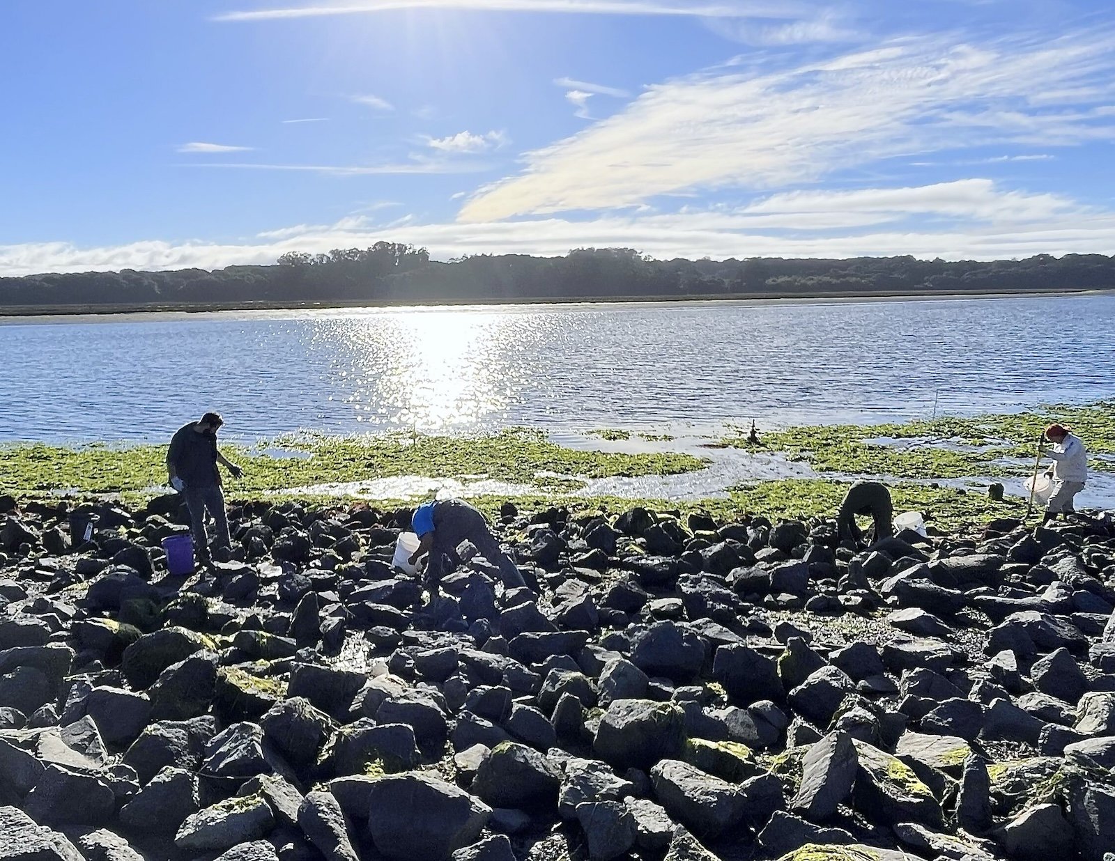 Amah Mutsun Land Trust: Coastal &amp; Oceans Stewardship Program Mobilizes to Study Impacts of Vistra Fire