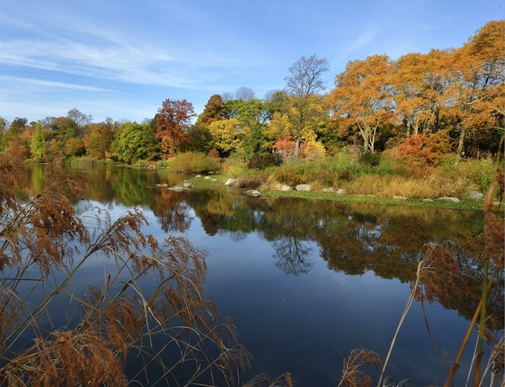 Inside Climate News: Why New York City Is Spending Millions on ‘Bluebelts’