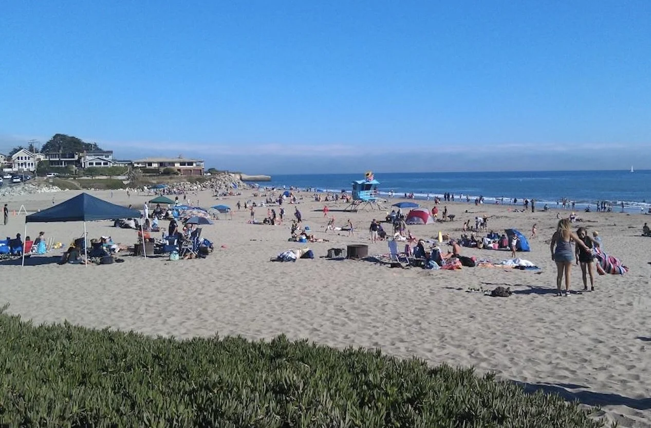Surfrider Beach Cleanup - Twin Lakes State Beach, Jan 18, 9 - 11 am