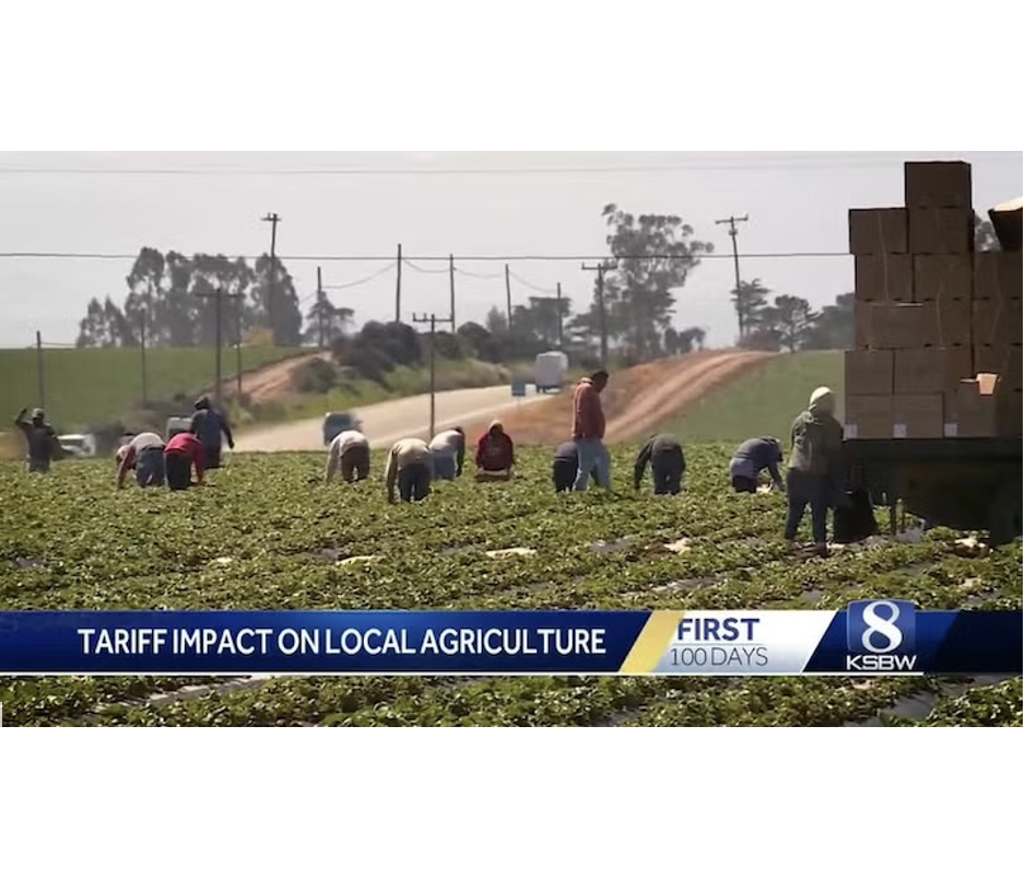 Newsweek: USDA’s Regenerative Agriculture Program Doesn’t Add Up - Opinion