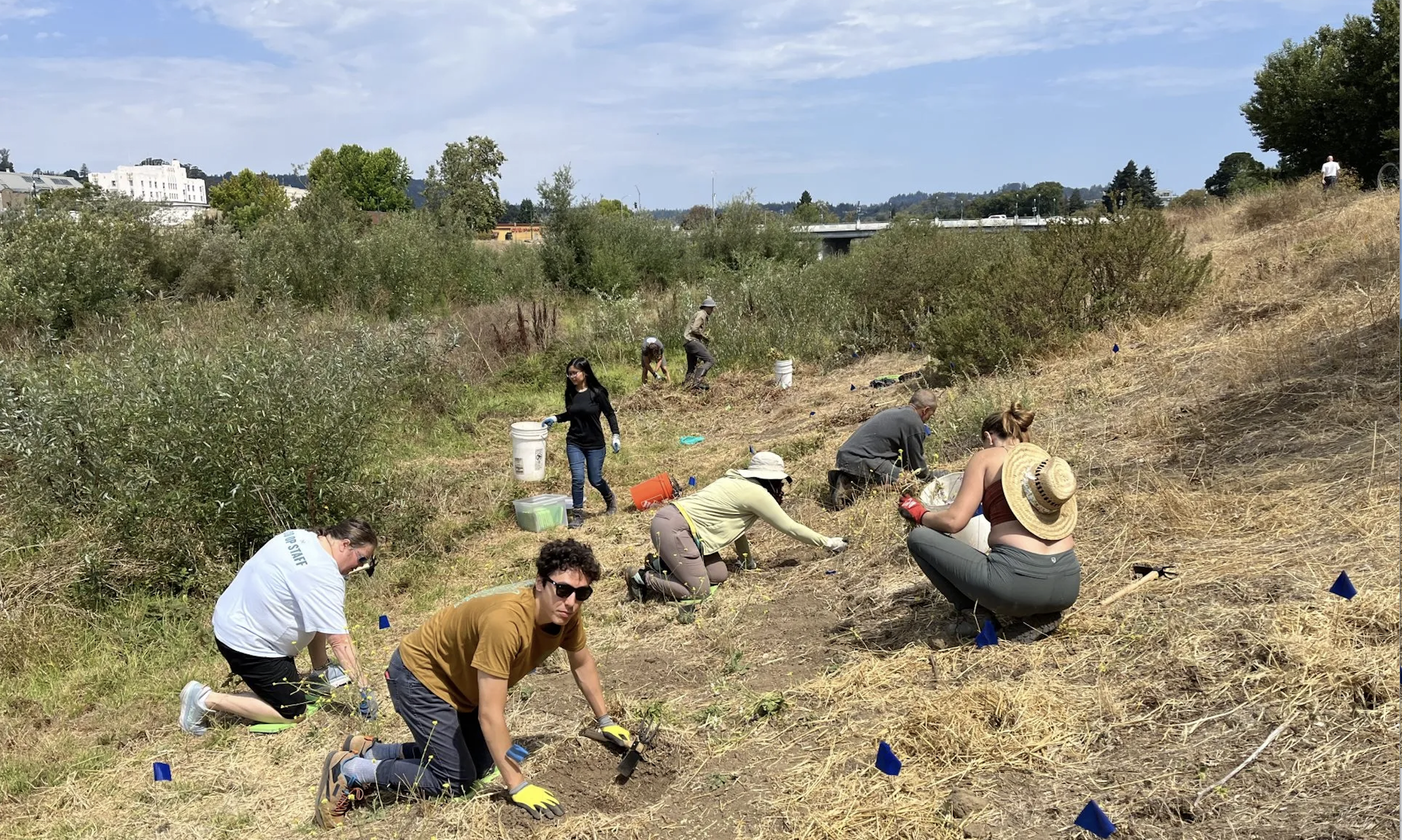 Coastal Watershed Council: River Health Day, Feb 14, 10 am - Noon