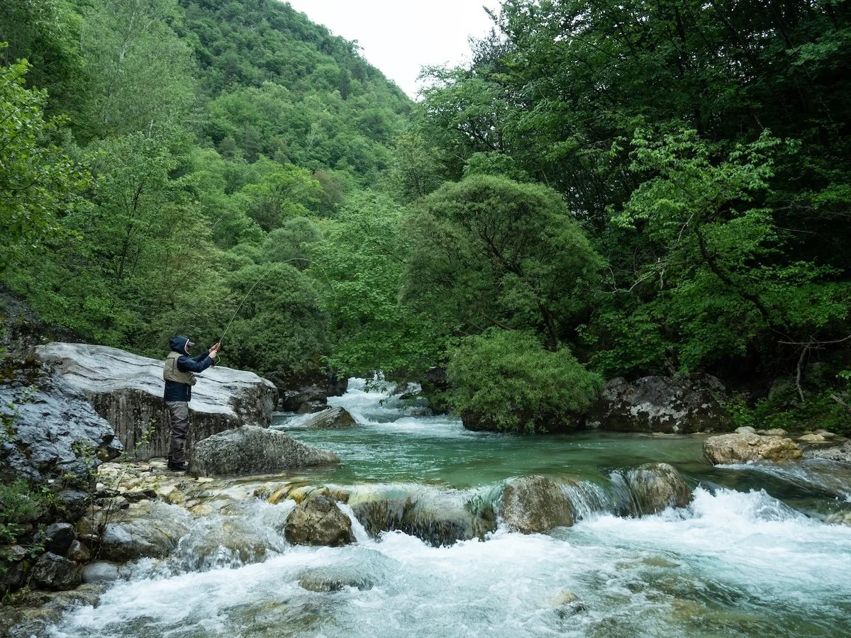 Inside Climate News: How Does Nature Contribute to the Economy? These Environmental Accountants Are Trying to Find Out