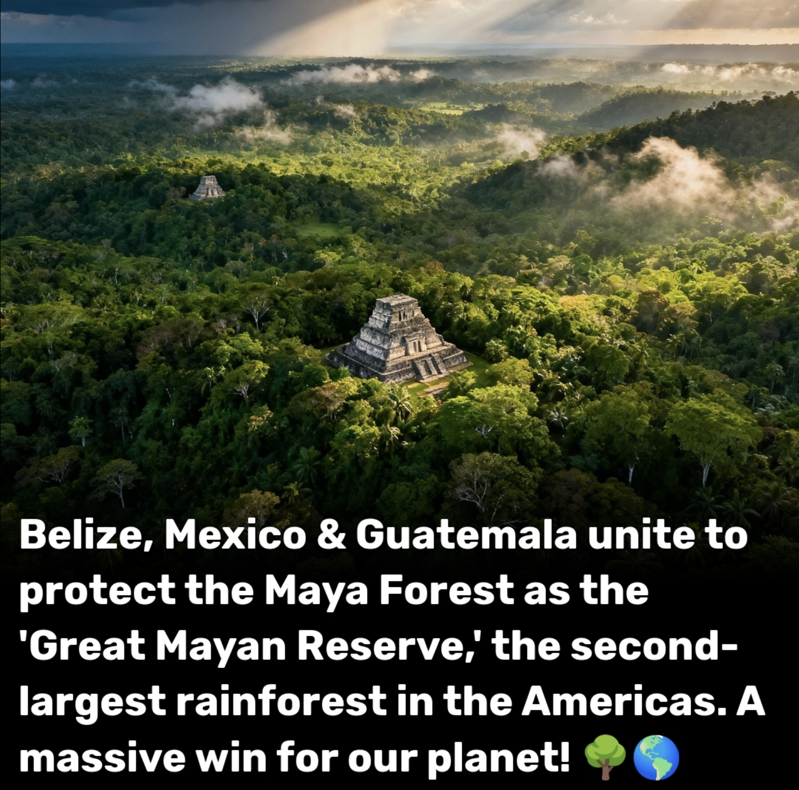AP: How Guatemala, Mexico, and Belize plan to protect 14 million acres of Mayan forest