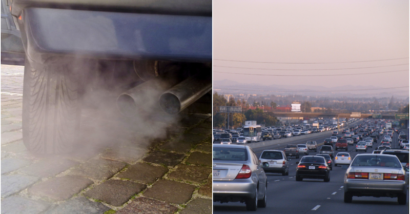Center For Biological Diversity: Tell the EPA: We Need Clean Car Rules