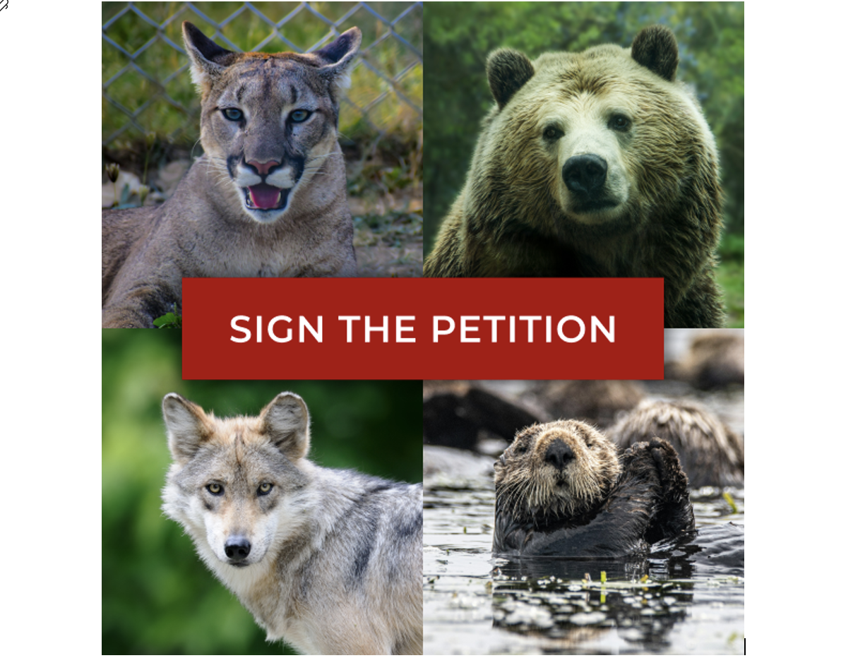 Friends Of The Earth: Protect The Endangered Species Act From Latest Attack 