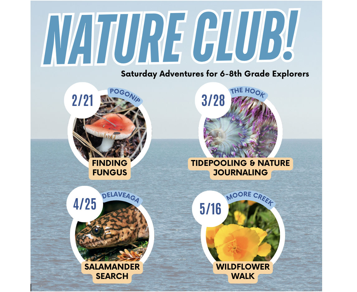 SC Museum Of Natural History: Nature Club - Extra-curricular program for 6th-8th graders, the Nature Club, Feb 21, March 28, April 25, May 16