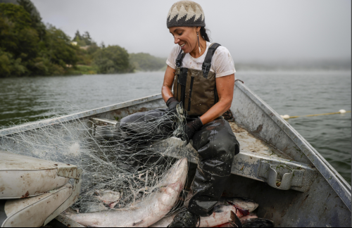 KSQD Sustainability Now!: The Water Remembers — My Indigenous Family’s Fight to Save a River and a Way of Life, Feb 15, 5 - 6 pm