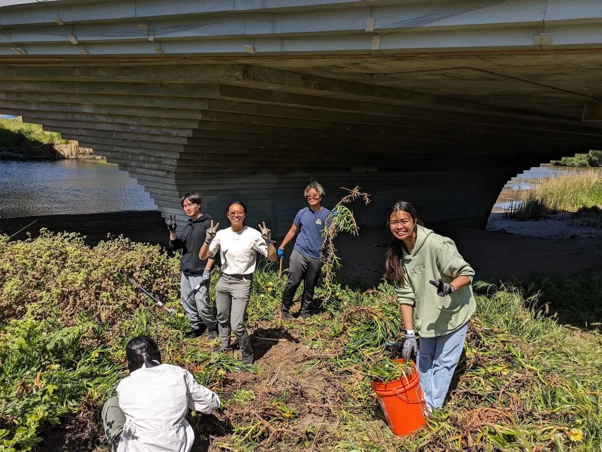 Coastal Watershed Council: River Health Day, March 14, 10 am - Noon