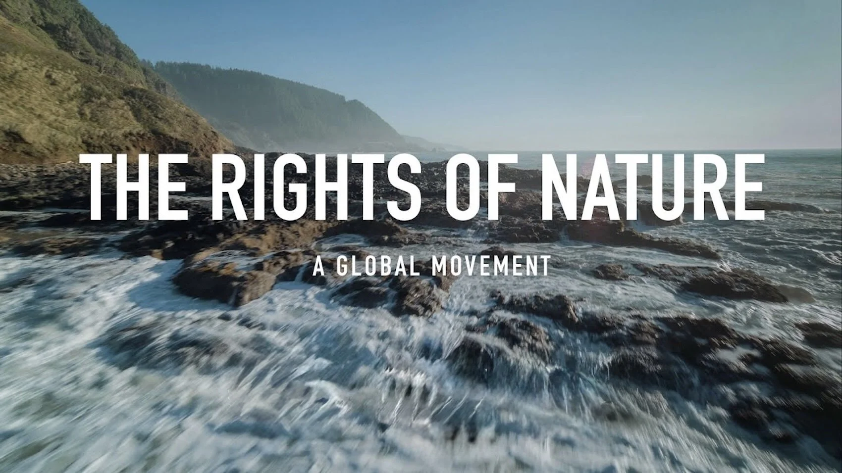 Rights of Nature Santa Cruz: Join our Team!