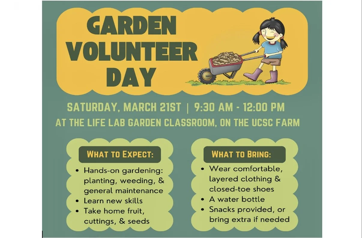Life Lab: Volunteer Day at the beautiful Garden Classroom, March 21, 9:30 AM - Noon