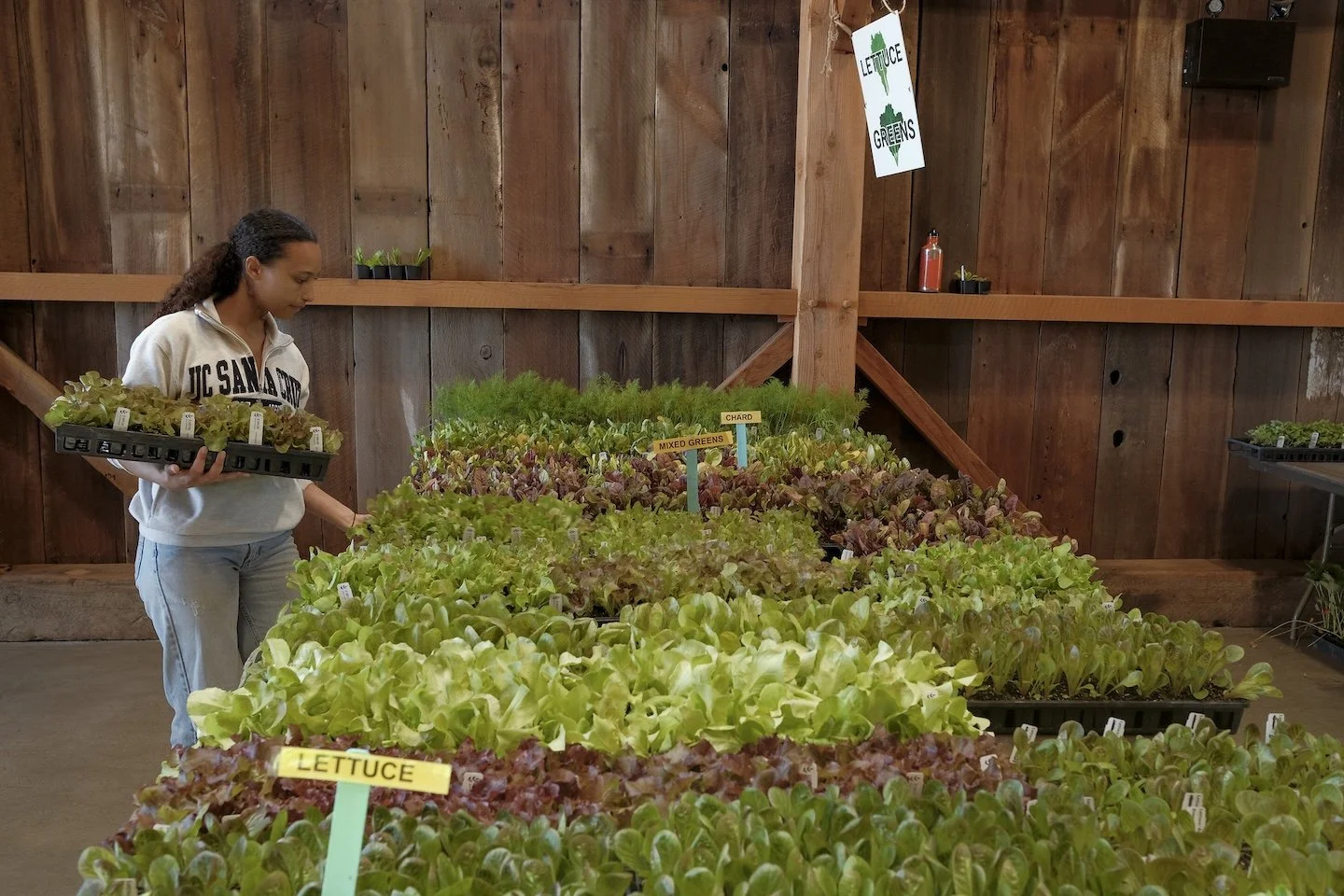 UCSC Farm: Spring Plant Sale, April 25, 10 am - 3 pm 