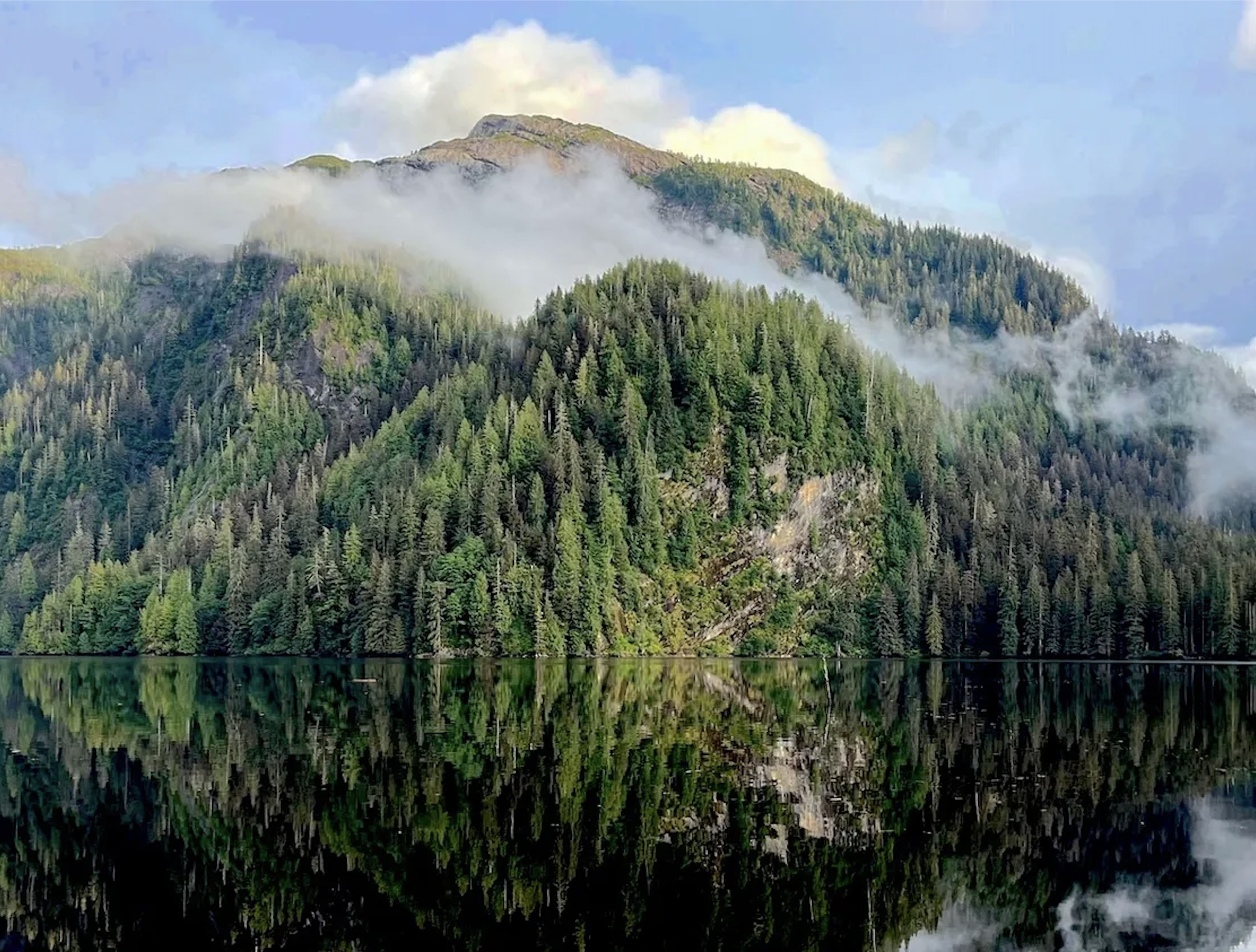 Center For Biological Diversity: Tongas National Forest Spared From Logging