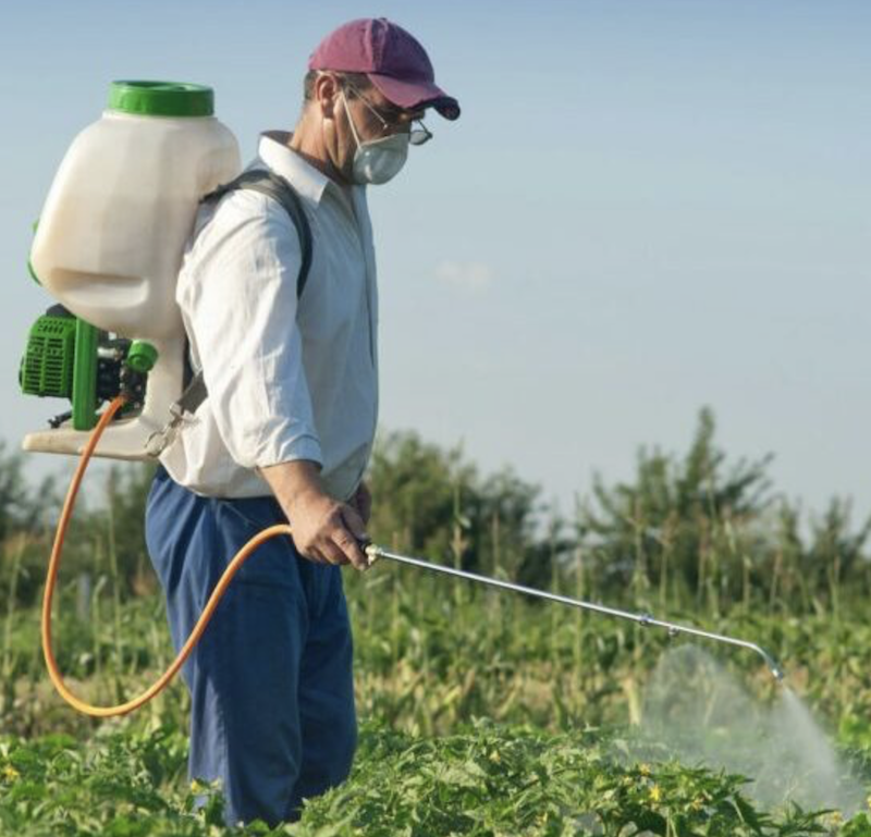 Center For Biological Diversity: New Analyses Of Pesticides and Rare Cancer Warnings 
