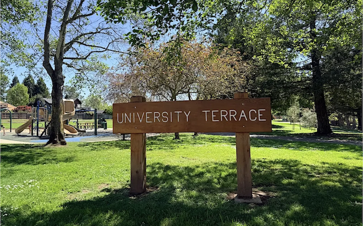 Community Tree Planting Volunteers Needed + Open House + Fun Activities, May 7, 11 am - 2 pm