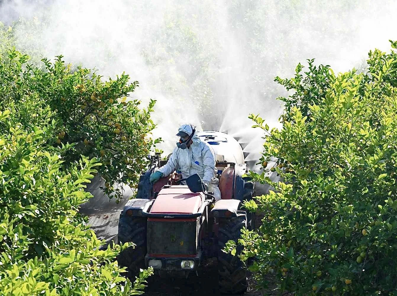 Environmental Working Group: Ban PFAS pesticides