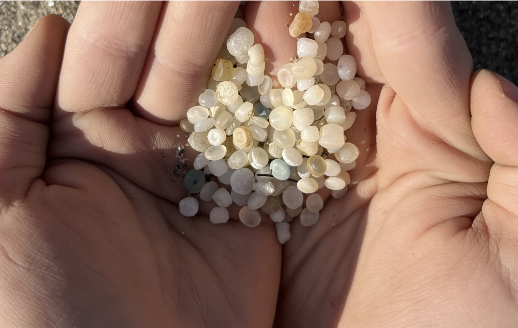 Environment Colorado: Plastic Pellet-Free Waters Act Signed into Law