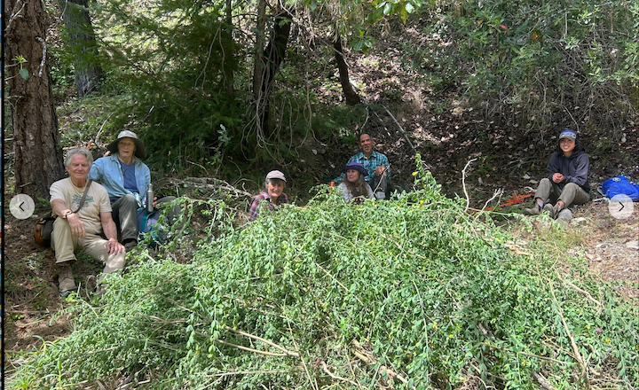 CA Native Plant Society: Habitat Restoration Quail Hollow Ranch County Park, May 2, 10 am - 1 pm