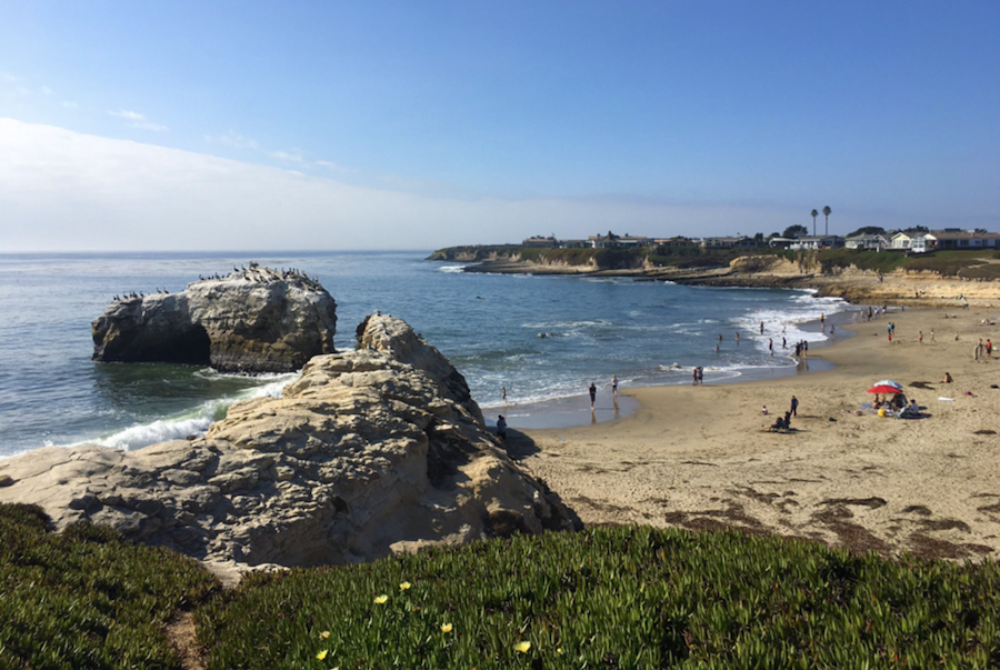 Sentinel: Proposed Expansion of Santa Cruz Marine Protected Areas