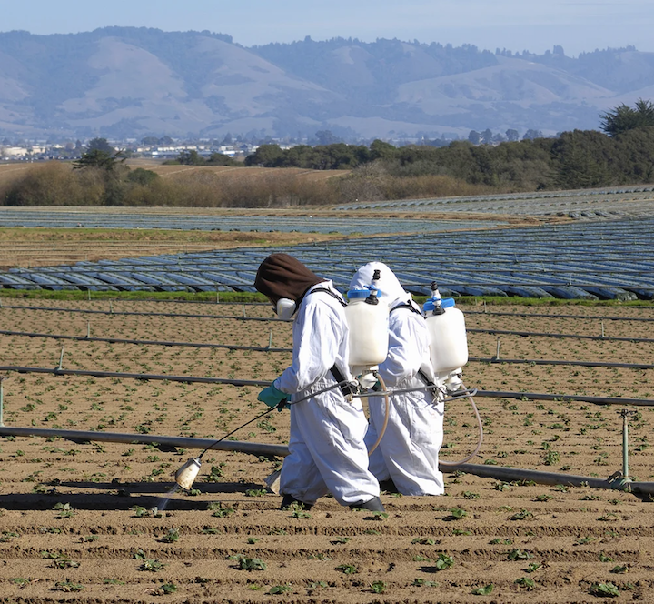 Inside Climate News: California Bill Aims to Keep Toxic PFAS off Its Crops
