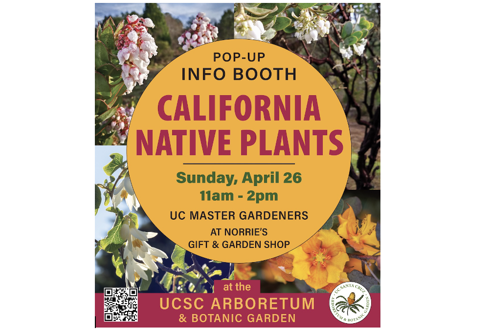 UCSC Arboretum: Native Plant Pop Up Sale, April 26, 11 am - 2 pm