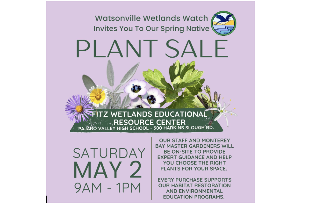 Watsonville Wetlands Watch: Spring Plant Sale, May 2, 9 Am - 1 PM