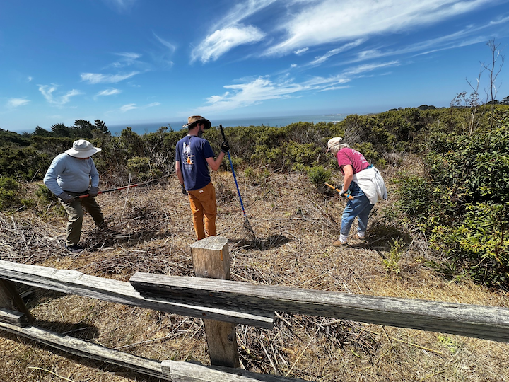 Año Nuevo State Park: Natural Resources Volunteer Program, May 9, 17, 23 &amp; 26, 9:30 am - Noon
