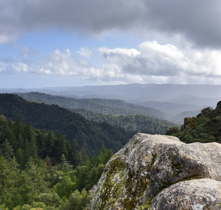 Digital Democracy: Legislation to Designate Santa Cruz Mountains as a "Resource of Statewide Significance"