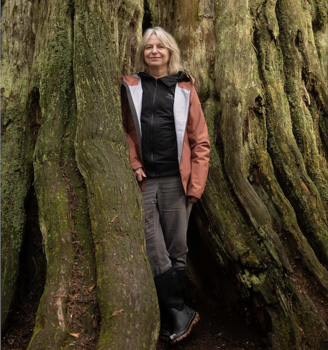 Emergence Magazine: The Scaffolding of Life, Suzanne Simard