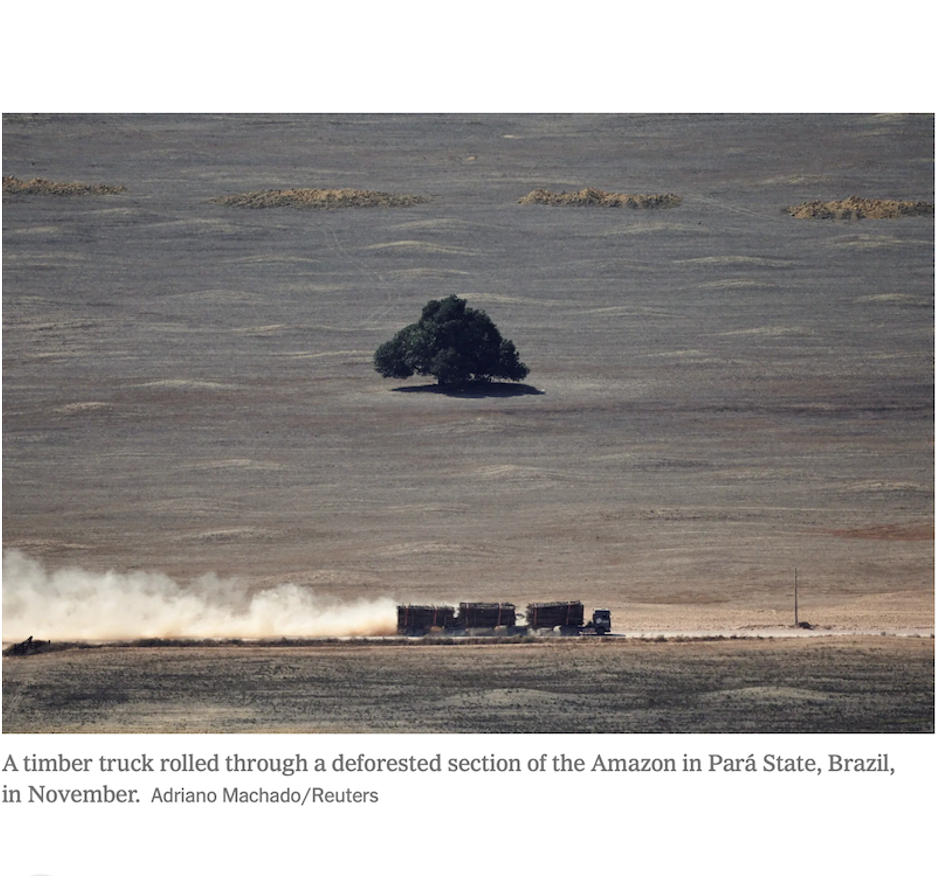 NYT: New Study Shows Risks of Amazon Deforestation. And Rewards of Protection.