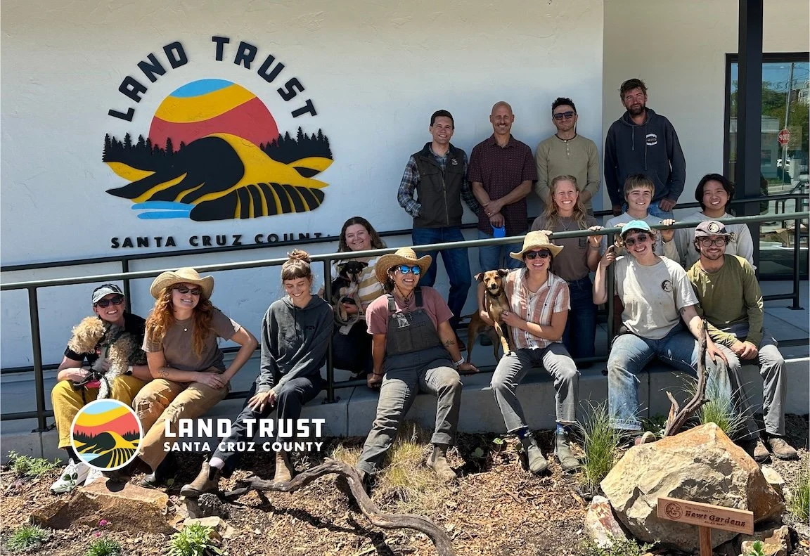 The Land Trust: First Friday at Mini Museum Opening, June 5, 5 - 8 pm